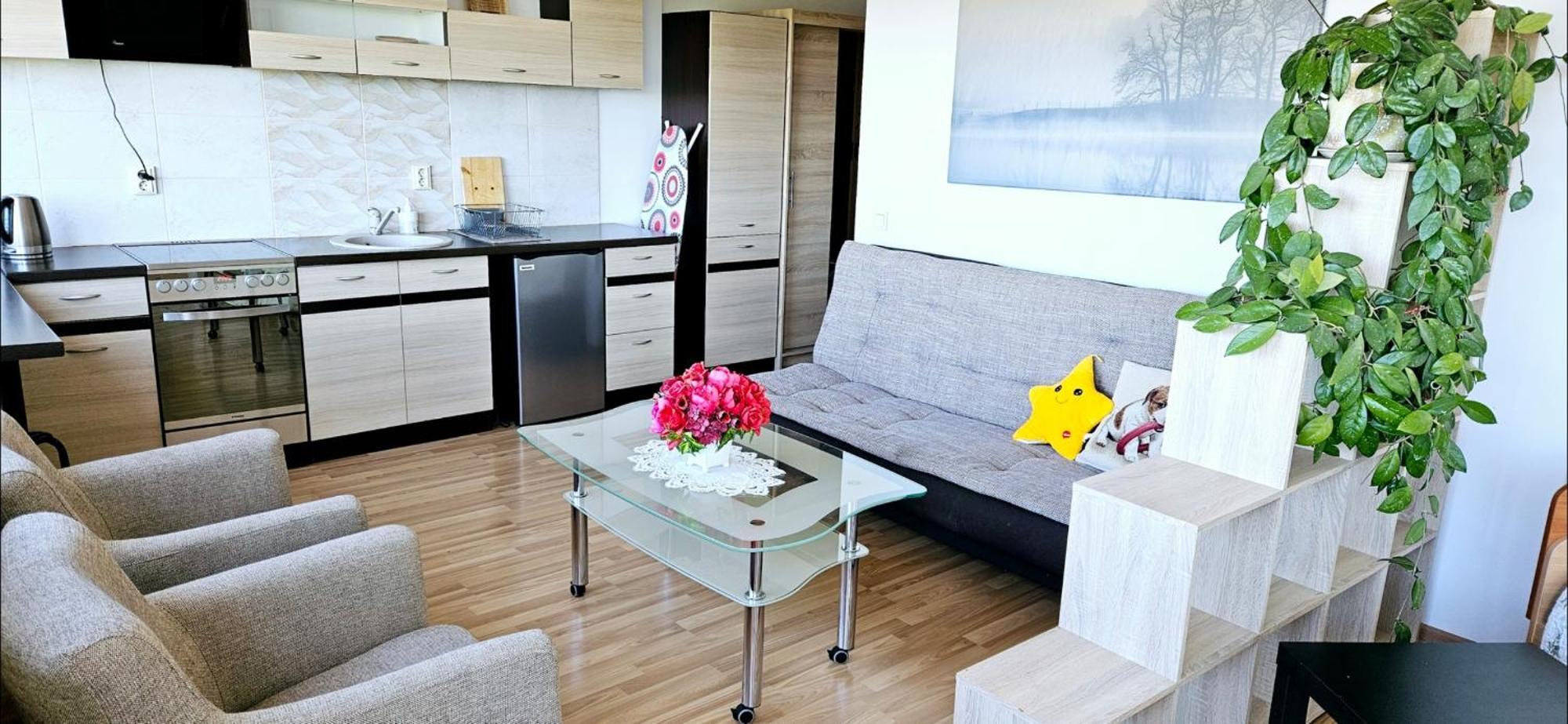 Veziu 10 Apartment Palanga Luaran gambar